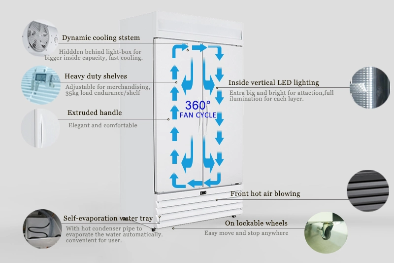 Temperature&#160; Outranging Alarm Vaccine&#160; Refrigerator with Door Open Over-Time Alarm Function