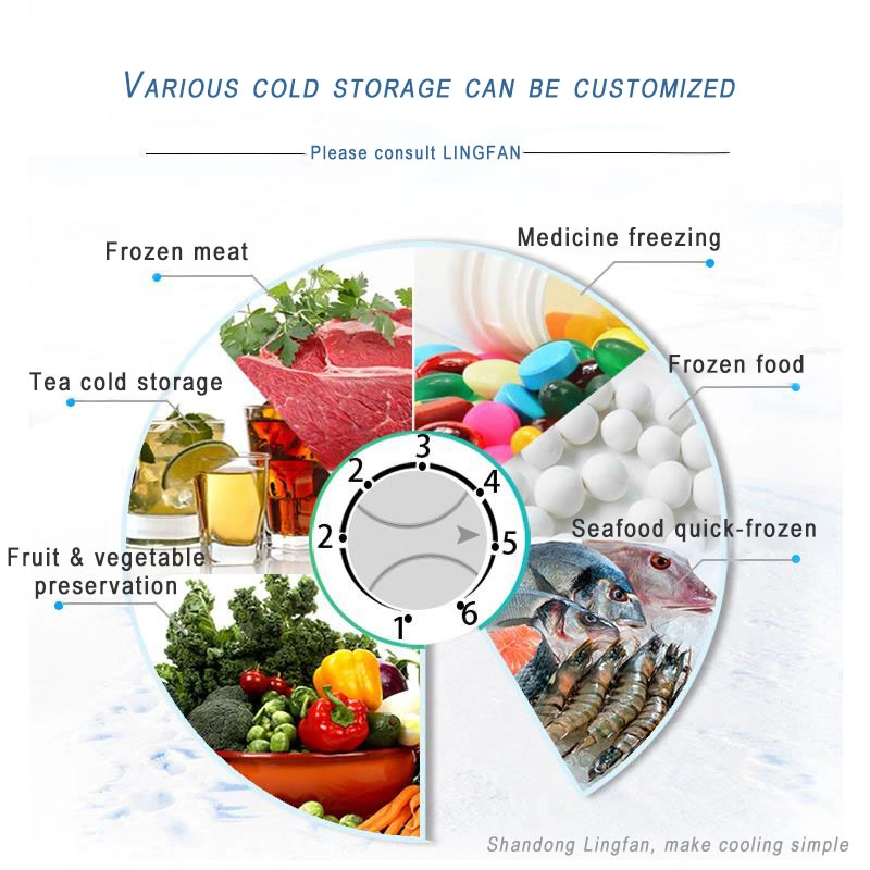 High Quality Quick Frozen Cold Storage Room for Meat Freezer