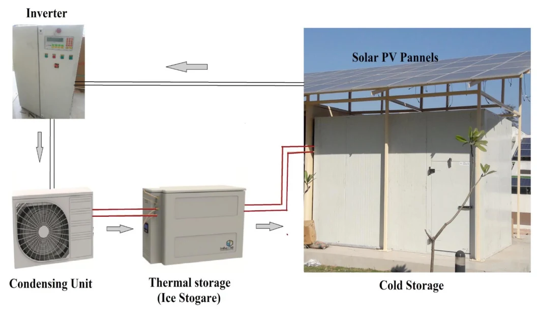 High Quality Quick Frozen Cold Storage Room for Meat Freezer