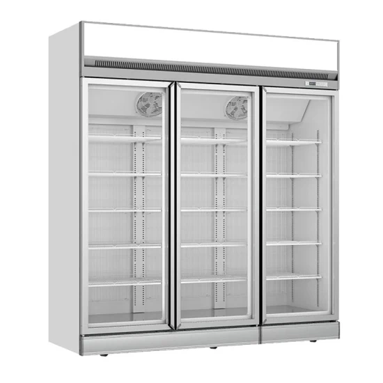 Supermarkets and Convenience Stores Display Vertical and Integrated Compressor Freezers