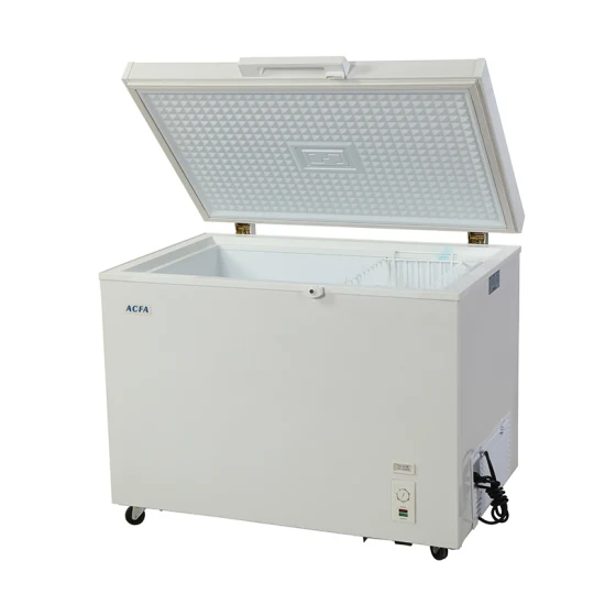 China Manufacturer Wholesale Price Ice Cream Freezer Price Meat Showcase Deep Freezer Foam Door Chest Freezer with Lock (BDBC-310)